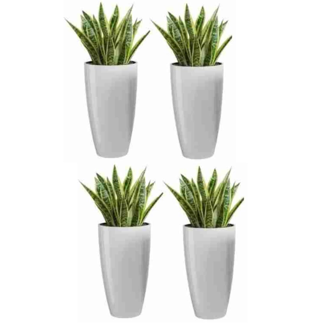 MUDDSTYLES Plastic Tower Pot 8.5 inch Flower Pots for Home Office Garden Balcony Plant Container Set (White) Set of 4 (B0D5QNHGH9) Amazon Price History, Amazon Price Tracker