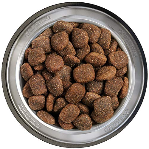 Belcando Adult Active [12,5 Kg] Cibo Per Cani | Cibo Secco Per Cani Attivi E Cani Sportivi | Alimento Completo Per Cani Adulti Di Almeno 1 Anno - 5