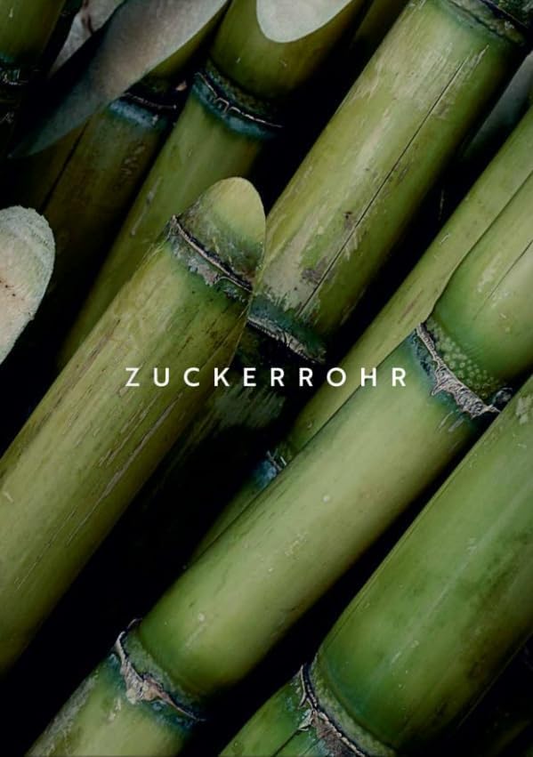 Lot De 50 Bols Jetables En Canne à Sucre, Bols à Soupe Compostables