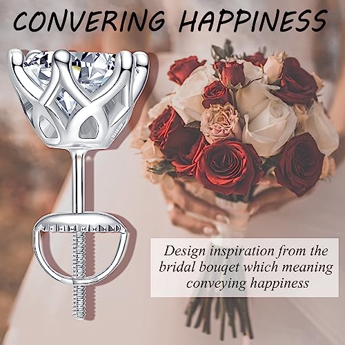 Rukyf Moissanite Stud Earrings 1Ct D Color Vvs1 Clarity Lab Created Diamond Earrings White Gold Plated 925 Sterling Silver Hypoallergenic Stud Earrings For Women Girls Men #TOP3