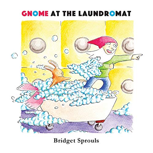 Gnome at the Laundromat
