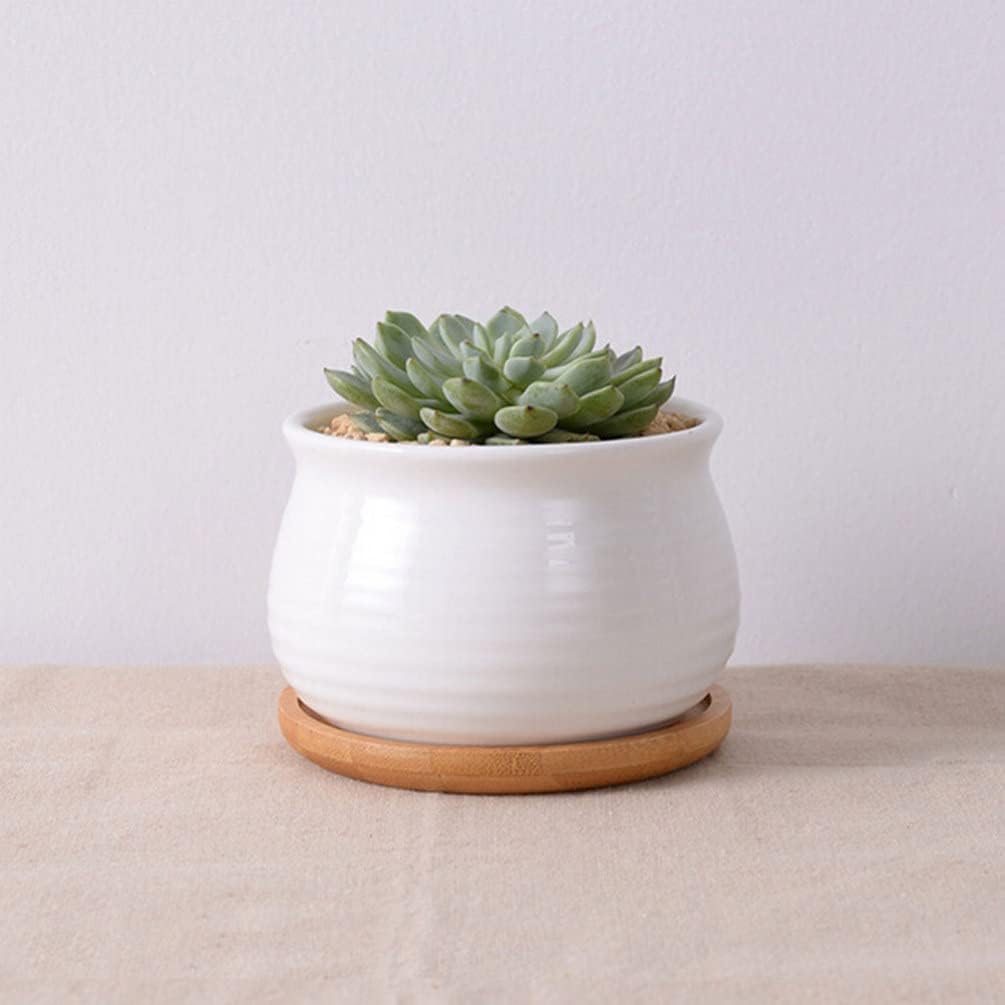 Yardwe 8pcs Bamboo Plant Saucers Drip Trays for Succulent Pots Lightweight Flower Pot Trays for Use Versatile Water Collection