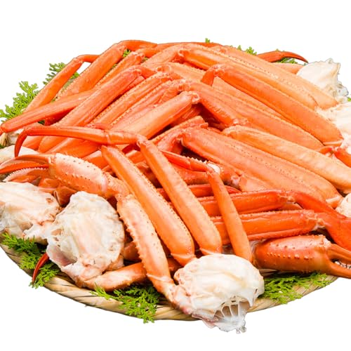 9~13 2.4kg {CgYCKjtr xjYCKj ׂɂ킢  Jj I {CgYC {Cg킢 tr YCtr 䥂ō {Cς CN }[Pbg (9~13 2.4kg^d:2kg)