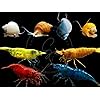 Product Photo 1