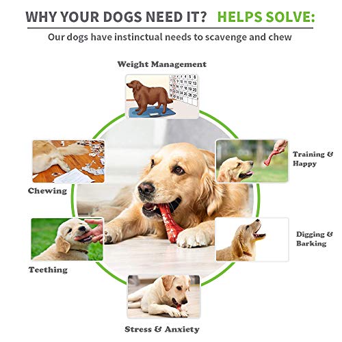 Dog Toys For Aggressive Chewers, Indestructible Durable Dog Chew Toys, Non-Toxic Food Grade Nylon Dog Bone Toy Reduces Boredom, Tested By Labrador, Golden Retriever, More Small Medium And Large Breed #TOP2