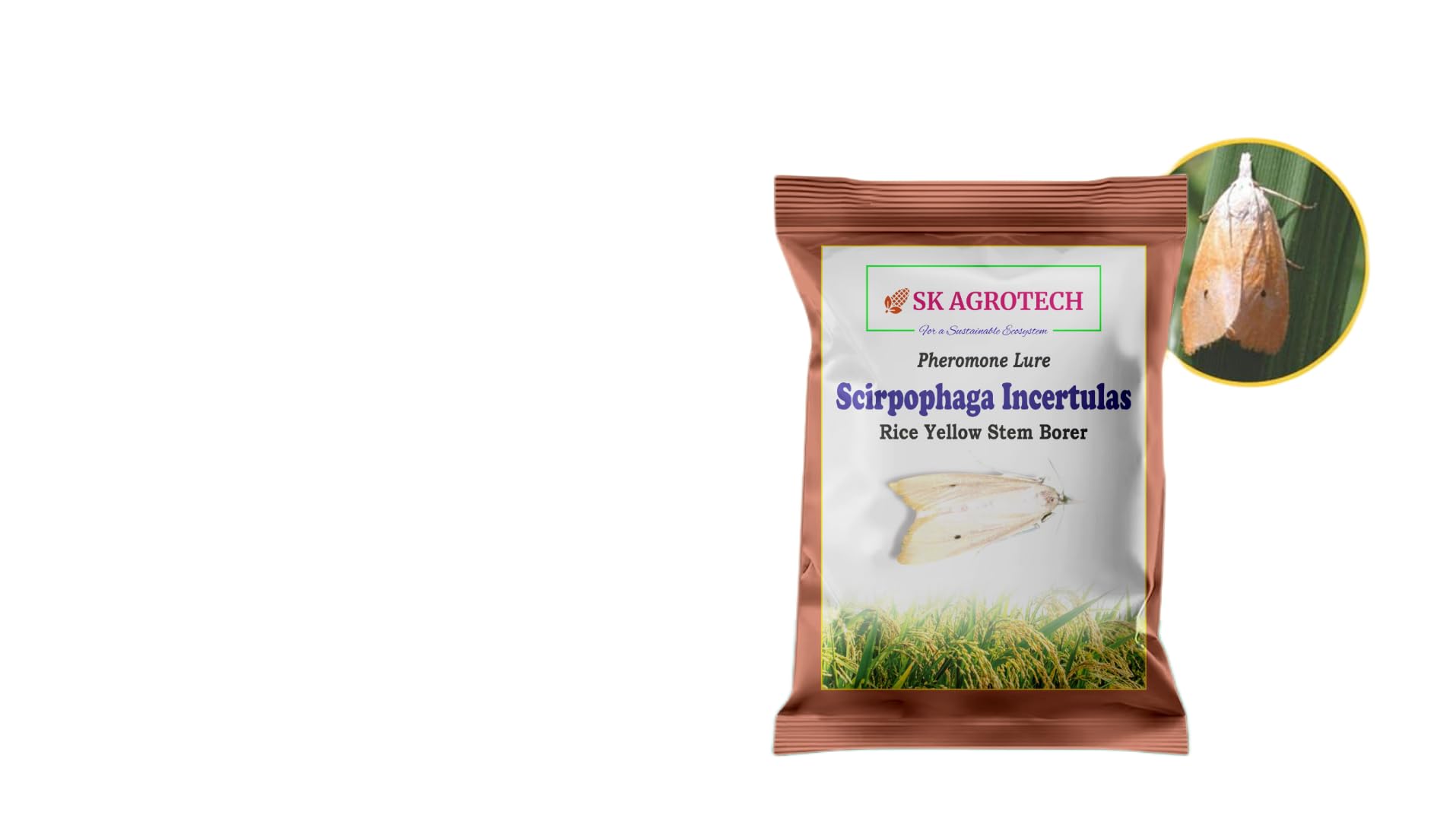 Rice Yellow Stem Borer Pheromone Lure, Scirpophaga Incertulas, Paddy Crop Pest Control, 45 Days Field Life, IPM Solution (10)-image-47