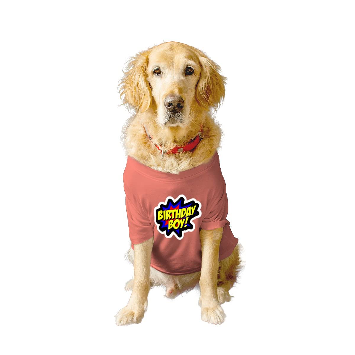 Ruse Basic Crew Neck Birthday Boy Printed Half Sleeves/Apparel/Clothes/T-Shirt Gift for Dogs.Colour-Salmon/X-Small (New Born Puppy) (B09799WNW1) Amazon Price History, Amazon Price Tracker