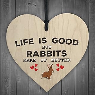 RED OCEAN Rabbits Make Life Better Wooden Hanging Heart Plaque Pet Rabbit Hutch Sign Decor
