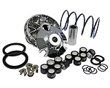 Variomatik POLINI Hi-Speed Evolution 14,8mm für Piaggio TPH 50 / Typhoon 50 DT AC 93-97 TEC1T