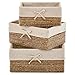 EZOWARE Multiuso Cesto portaoggetti di Seagrass per Bagno e Cucina - Set di 3