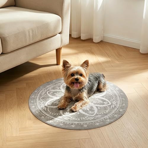 Image of Carvapet 2ft Small Round Rug, 24 inch Vintage Washable Circle Floor Mat