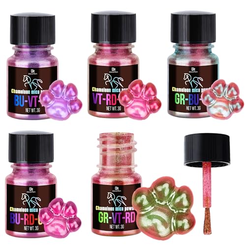 Polvere di Mica Camaleonte - 5 Colori Polvere di Pigmenti Che Cambiano Colore per Arte in Resina Epossidica, Pittura, Unghie - Pigmento in Resina Epossidica Toni Rosso per Slime, Sapone, Nail Art