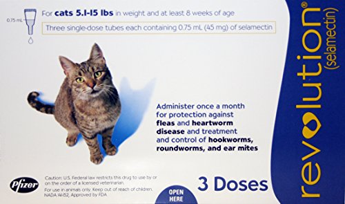 Buy Revolution Blue Cats 3 Pack Online At Low Prices In India Amazon In Buy Revolution Blue Cats 3 Pack Online At Low Prices In India Amazon In