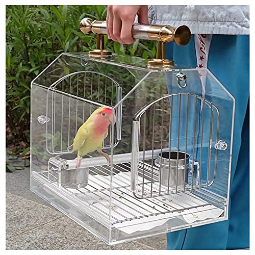 RosoyL[̑̃AN Čy  CR ʋCǂ o ړ ʉ@  g (傫