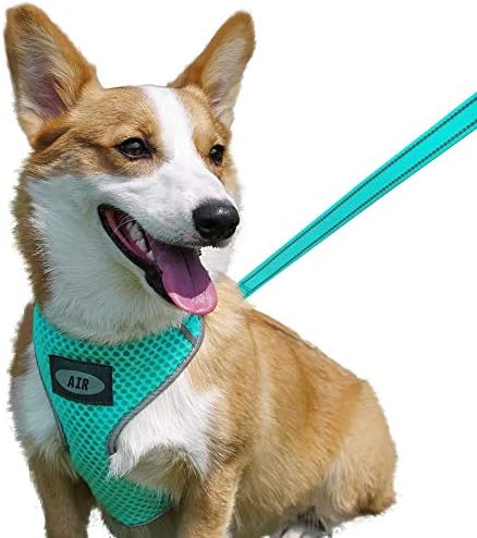 AIR Dog Harness Leash Set, Puppy Leash Harness, No-Choke Dog Harness, Mesh Dog Harness, Comfortable Dog Harness, Plus 4 ft Reflective Dog Leash with Padded Handle, Medium, Green