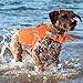 Shurhome Dog Float Coat for Swimming Bathing Reflective Strips Small Dog Life Vest Life Coat for Beach Pool Dog Life Vest