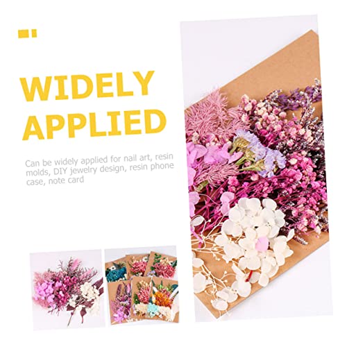 Kit de flores secas para manualidades y decoración miniatura 4