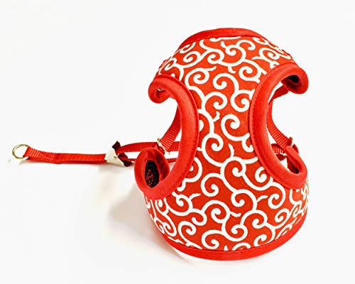 ALUK(AN) {fB[n[lX   S TCY