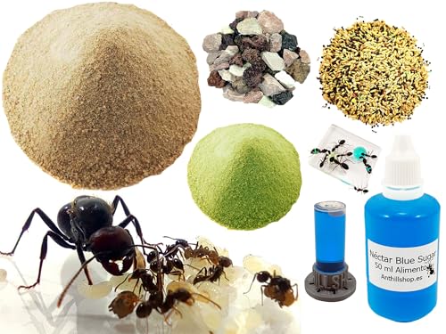 Kit Reemplazo -【Hormigueros de Arena】 -1kg - Néctar 50ml- Colonia de Hormigas Gratis, Piedras Decorativas - Semillas - Kit Alimentación Completa Incluida