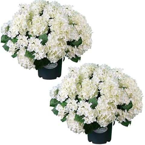 QIANYUN Artificial White Hydrangea- 19.7” Silk Flowers Pre-Assembled Bouquet Potted Bushes, UV Resistant Plants for Indoor and Outdoor Home Garden (White Hydrangea) Cover