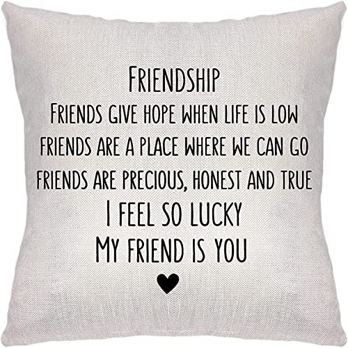 Friendship Home décor Linen Throw Pillow/Cushion Cover.