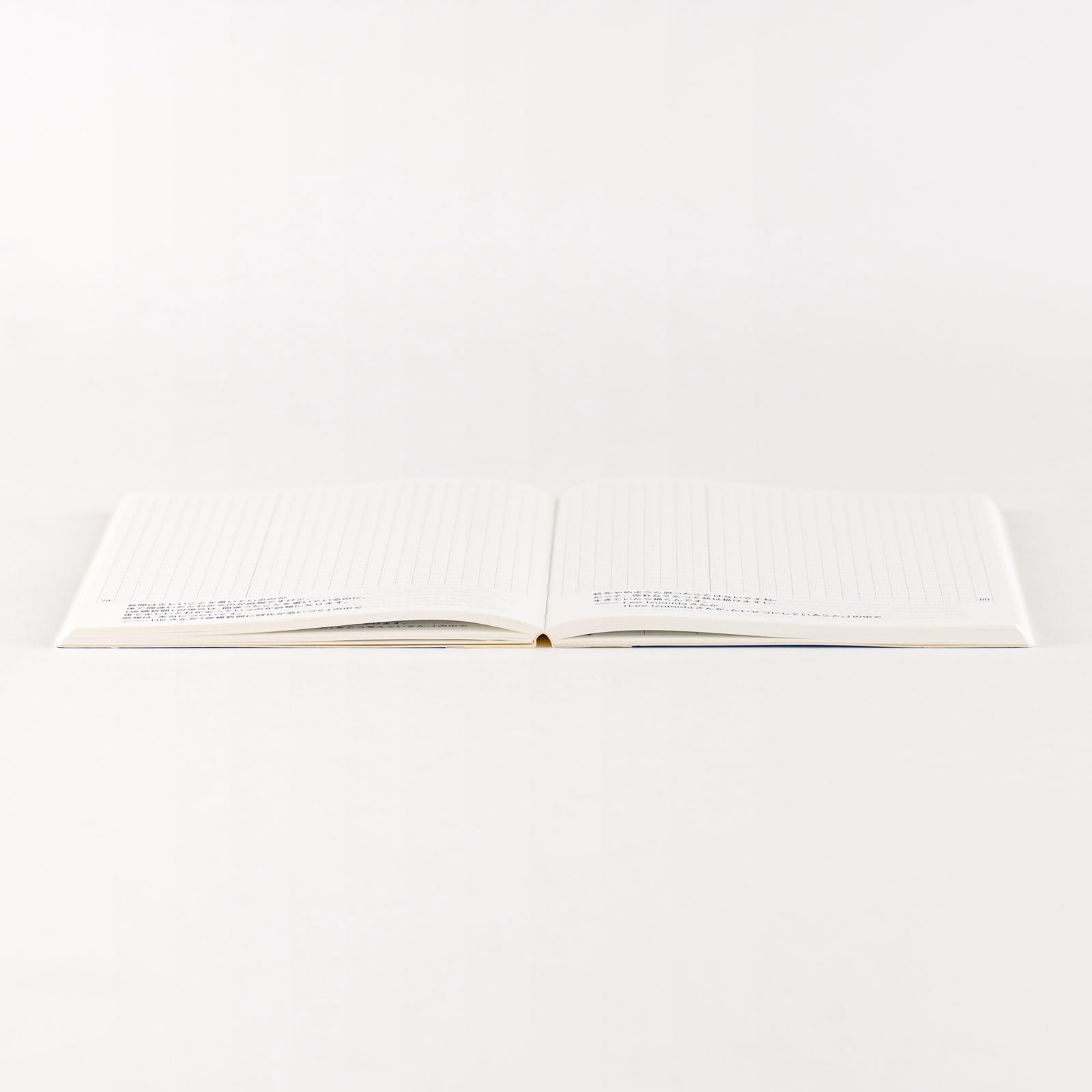 Hobonichi Techo Livre journalier 2025 [japonais/A6/début janvier/début du lundi/carnet de notes en papier graphique/planificateur]