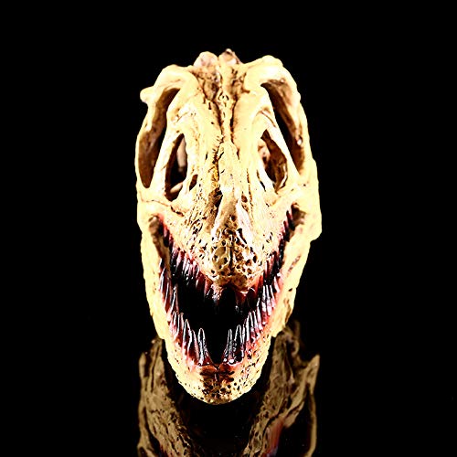 VOANZO Resin Velociraptor Skull Model Replica, Dinosaur Tooth Skull Fossil, Photography Props Teaching Tool Home Ornament - Image 3