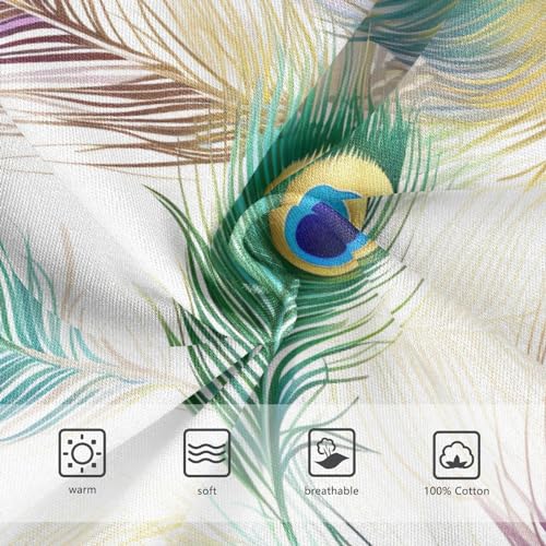 Peacock Feather Toddler Boy's Underwear 2T 202a86873