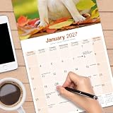 Avonside Mops 2027 Kalendarz z Naklejkami Organizacyjnymi, 16-Miesięczny Kwadratowy Kalendarz Ścienny (wrz 2026 - gru 2027), Planer dla Miłośników Psów, 29,5 x 29,5 cm