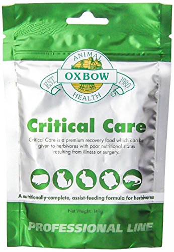 Oxbow Animal Health Critical Care Premium Recovery Food [Anise Flavor] (141 g)
