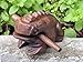 5 Inch Dark Brown Thai Classic Handmade Percussion Instruments Wooden Frog Musical Instrument (Dark Brown 5