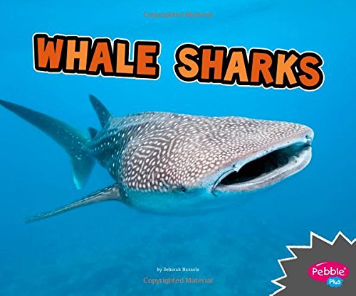 Whale Sharks