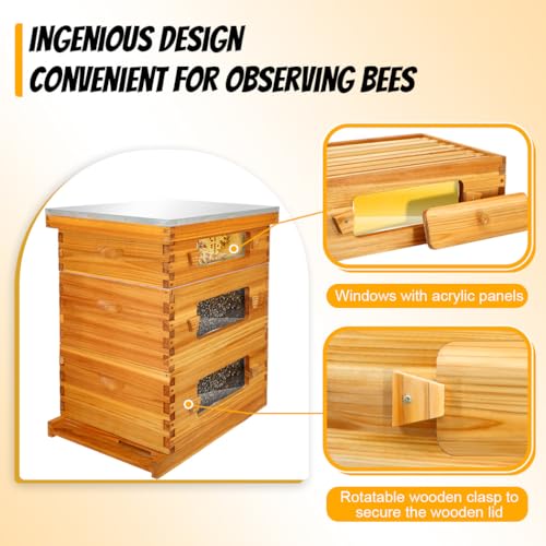 Honey Lake Bee Hive with Windows, 10 Frame Langstroth Complete Beehive Starter Kit Dipped in Beeswax with Beehive Frames and Waxed Foundations (2 Deep Brood Bee Hive Box & 1 Medium Super Bee Box) - Image 3