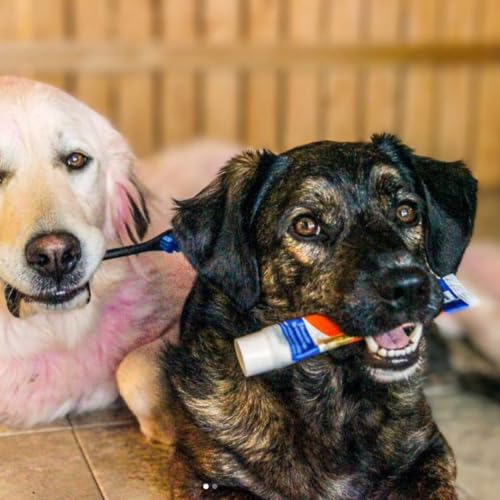 Image of Paw Ready Enzymatic Toothpaste for Dogs, Banana Mint