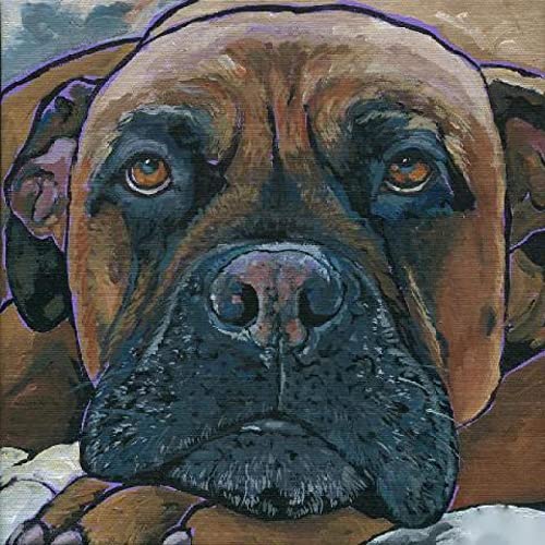 Point de croix loisir créatif adulte, kit de broderie complet motif chien et chat Noël 40x50