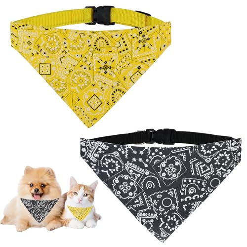 WishLotus po_i LƏ^^pA߉\ȎOp`̌̃J[`[t 悾ꂩ OopDOt (ubN+CG[AL)