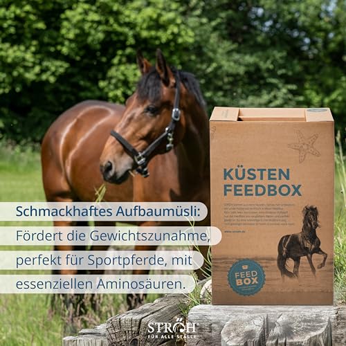 STRÖH Küsten Build up MX (30 kg Feedbox) • Hochwertiges Aufbaumüsli • Ideal für Sport- & Turnierpferde • Pferde Müsli mit Vitamin E, A, B12, D3, Biotin, etc. • Pferdefutter Müsli