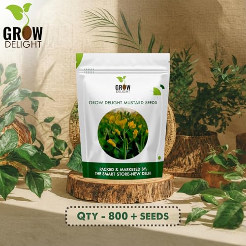 Image of Mustard (Sarson) (800+ Seeds) Vegetable Seeds for Home Garden, Organic & Hybrid, Perfect for Home Gardening, Planting For Pots and Patio