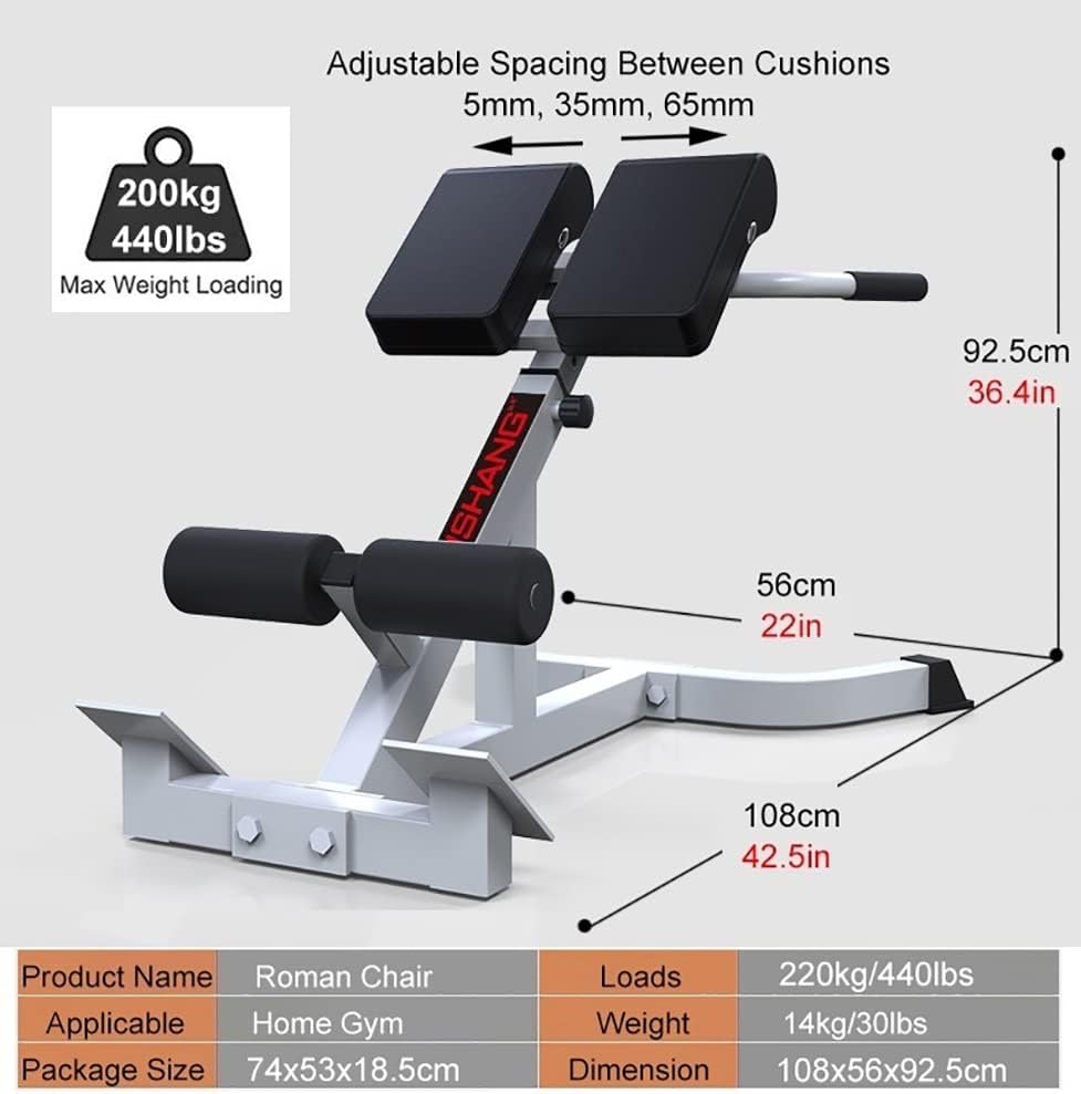 Roman Chair Hyperextension Bench, Home Gym Roman Chair for Tall People Men Woman, Adjustable Weight Bench Abdominal Trainers, Loads 440lbs (Color : Champagne Color)