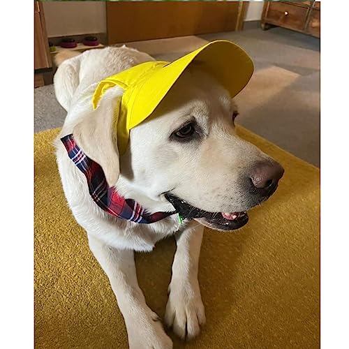 Image of Dog-O-Bow Baseball Cap for Dogs | Soft, Lightweight Cap (Medium)