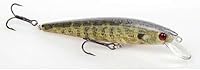Vista 27 de Strike King KVD Jerkbait 3 Gancho