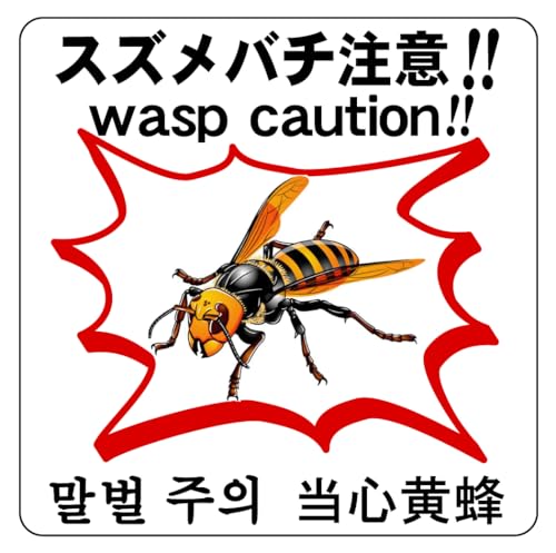 51ZoTAPpQSL.jpg