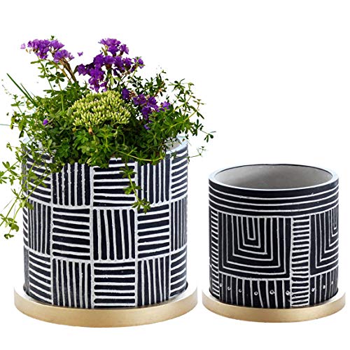 Designer Black Plant Pots Set 2 with Gold Saucers Ceramic Flower Pot Planters Indoor and Outdoor