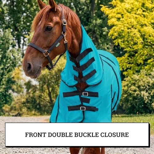 Image of Horse Fly Sheet with Attached Neck Cover & Tail Flap | UV Protection Mesh Horse Blanket, Full Body Bug & Sun Shield, Buckles, Belly Wrap & Gussets for Spring Summer Riding Rug (Teal, 74 inch)