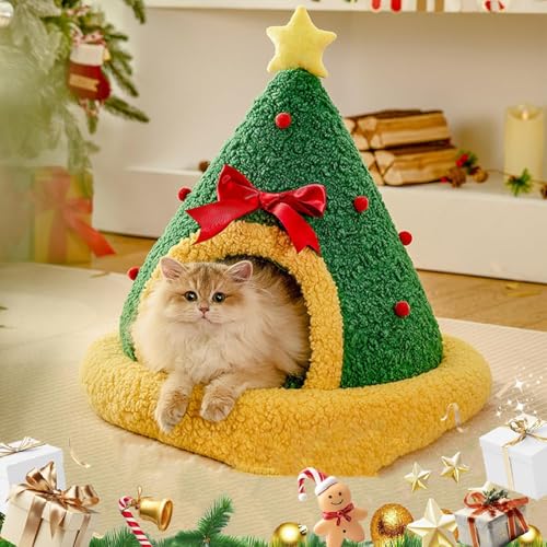 NX}Xc[ gCAO LbgP[uxbh g NX}X Lbgc[xbh O\ \ ~p AQABꏊAVт (Tree,M)