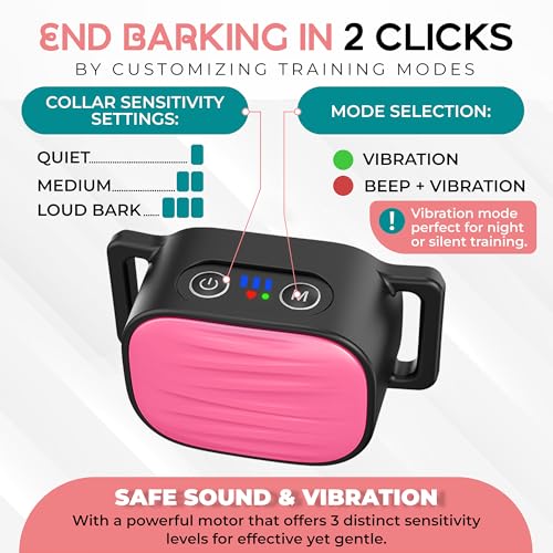 Training Tips for Bark Collar