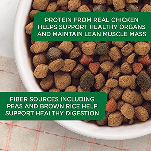Rachael Ray Nutrish 790103 Premium Natural Dry Dog Food thumb #7