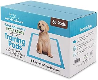 Extra-Large 36" x 28" Puppy Training Pads for Large Breeds by Best Pet