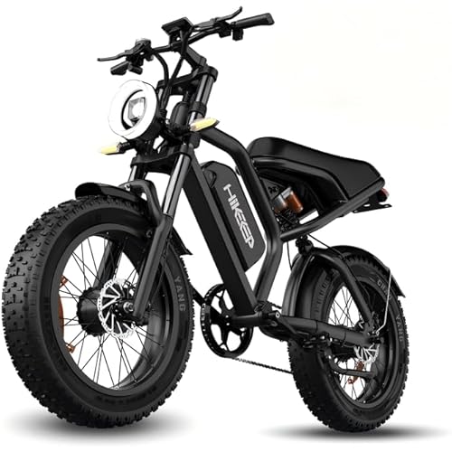 Electric Bike for Adults - 20 x 4 Inch Fat Tire, 750W/Peak 1500W Motor, 48V15AH Detachable Battery, 4 Riding Modes Electric Dirt Bike, 7 Speed Electric Motorcycle, 28MPH UL 2849 Certified