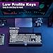 Large Print Backlit Computer Keyboard, 7-Color Backlit Keyboard with Wrist Rest, USB Plug-and-Play, Oversize Letters Keys Easy to See and Type, Wired Light Up Keyboards for Laptop, PC, Gaming